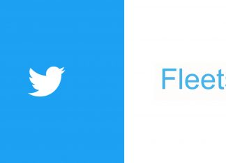 Twitter fleets