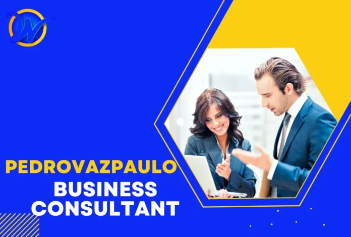 Pedrovazpaulo Business Consultant