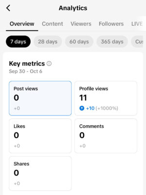 make money from video blogging